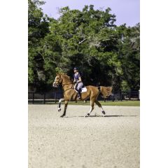 GARMIN BLAZE LIFESTYLE