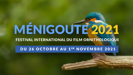 Festival International du Film Ornithologique - Ménigoute
